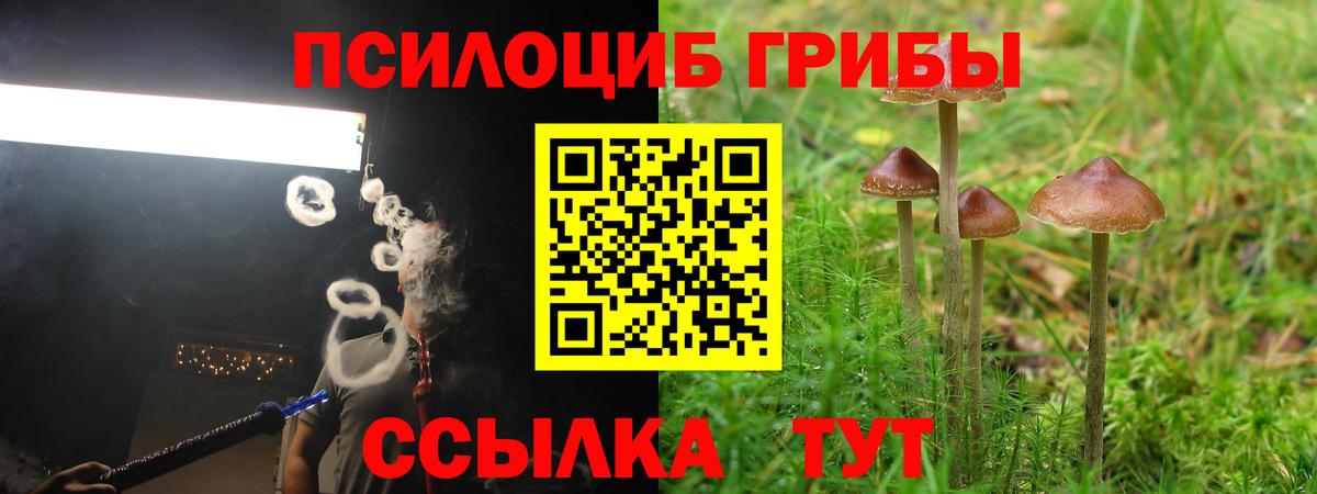 Галлюциногенные грибы MAGIC MUSHROOMS Кириши